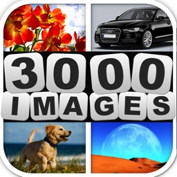 Guess 3000 Images