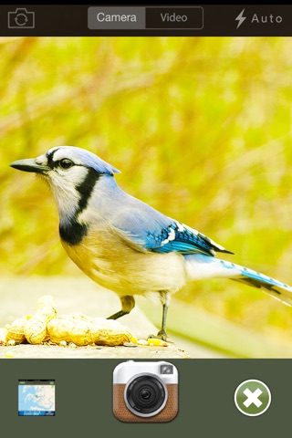 Pocket Ranger Bird Feed™ screenshot 2