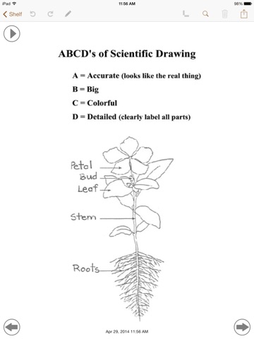 ASSET Primary Notebook screenshot 3