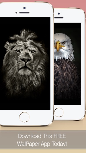 Animal Wallpapers, Themes & Backgrounds - Free Animals HD Re(圖1)-速報App