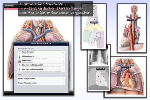 Thieme Anatomy on the Go 2.0 - English screenshot 2