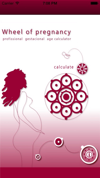 Wheel Of Pregnancy