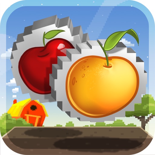 Brain Fruit Master Puzzle PRO icon