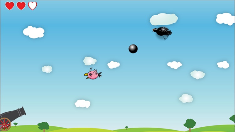 Cannon vs Birds