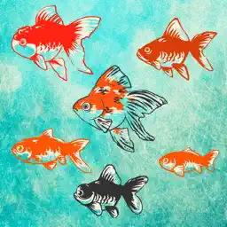 Goldfish Aquarium - Japanese Style - app icon