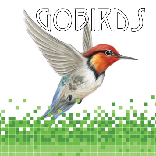 Gobirds Bird Game Icon