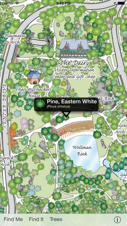 Central Park Entire
