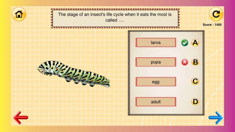 4th Grade Science Quiz # 1 for home school and classroom by Nth Fusion LLC