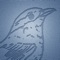 Bird Identification is part of our series of outdoor adventure apps designed to give information on demand at the moment of need