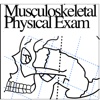 Musculoskeletal Physical Exam