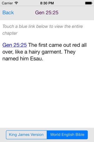 BibleDict screenshot 4