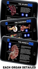 Anatomy 3D - Organs screenshot