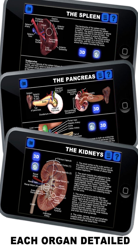 #1. Anatomy 3D - Organs (iOS) 由: Real Bodywork