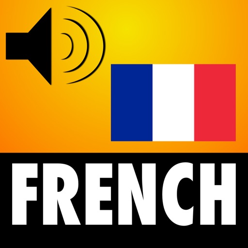 969 French Verbs - French Vocabulary Builder with Frenchfun icon