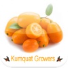 Kumquat Growers