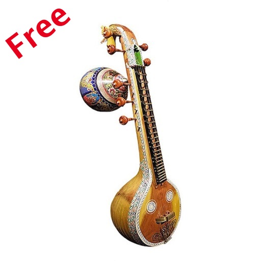 Indian Musical Instruments Free icon