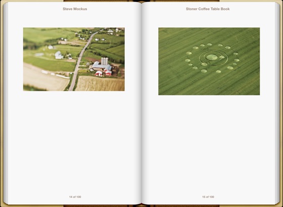 stoner coffee table book