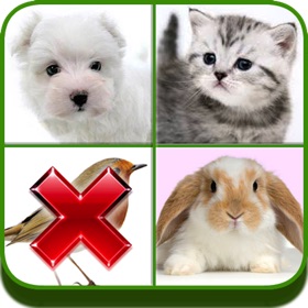 螢幕擷取畫面 (5) Guess the Wrong Pic in 4 Pics