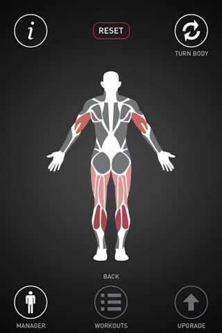 Muscle Manager : Gym Workouts screenshot 2