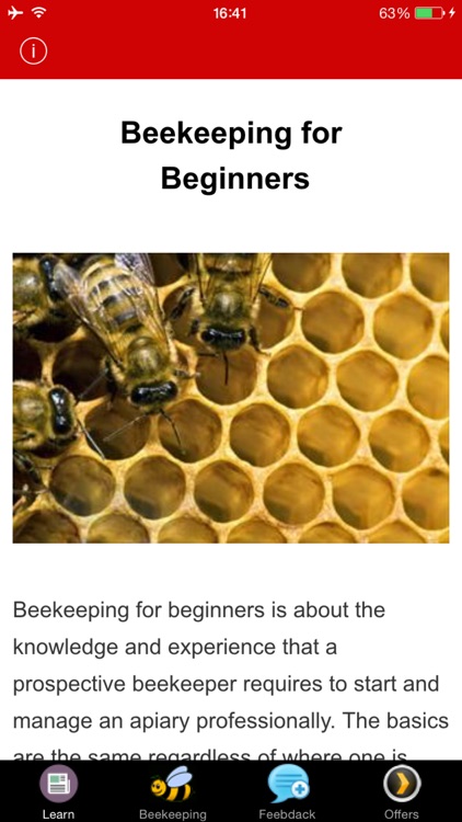 Beekeeping For Beginners