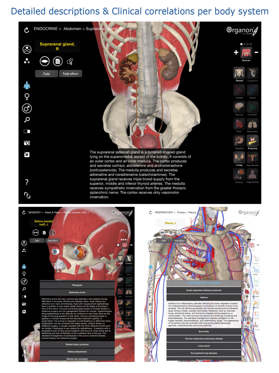 3D Organon Anatomyのおすすめ画像3