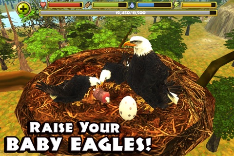 Eagle Simulator screenshot 2
