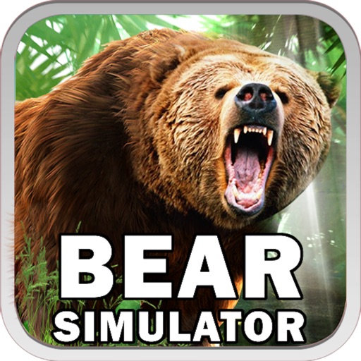 OMG Bear!!! iOS App