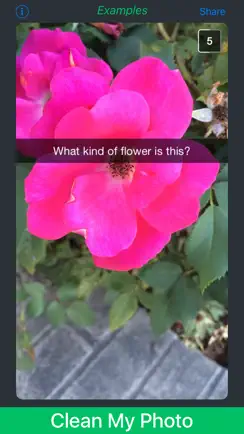 Caption Remover for Snapchat* iPhone image 1