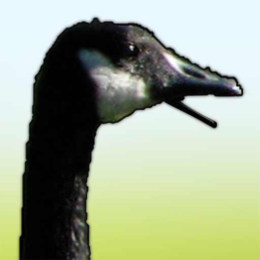 GOOSE! for iPad icon