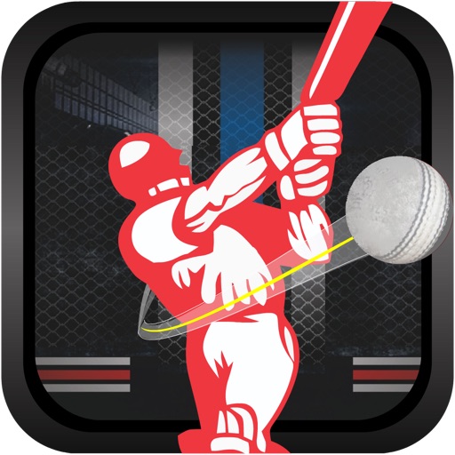 Cricket Champs: Super Over - Epic T2 World Championship 2014 iOS App