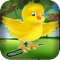 Bird Egg Drop Dash Puzzle - Line Bouncing Birdie Rush Crash Quest Pro