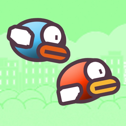 Bird Racing