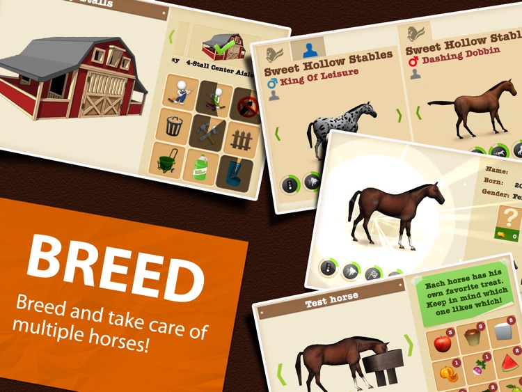 Derby Quest:Horse Breed-ing and Racing Champion HD