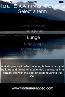 Game screenshot Ice Skating Terms mod apk