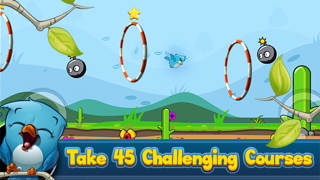 How to cancel & delete Flippin Bird - Flying Stunt Tricks School to Test your Driving by Go Free Games from iphone & ipad 2