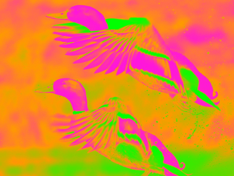 Screenshot #6 pour Glow Camera - View Crazy Cool Neon Fluorescent Rainbow Splash Colors