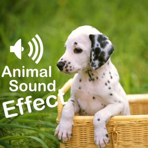 Animal Sounds World HD icon