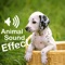 Animal Sounds World HD