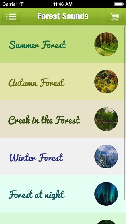 Forest Sound for Sleep and Meditation