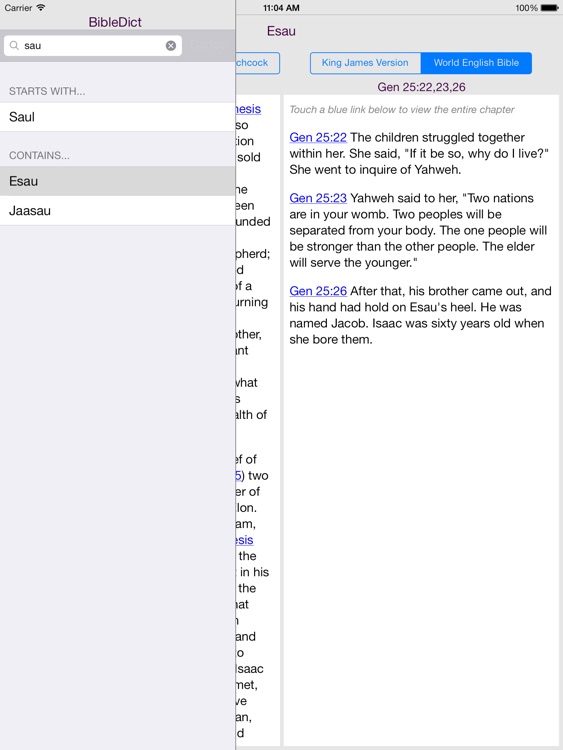 BibleDict for iPad screenshot-4