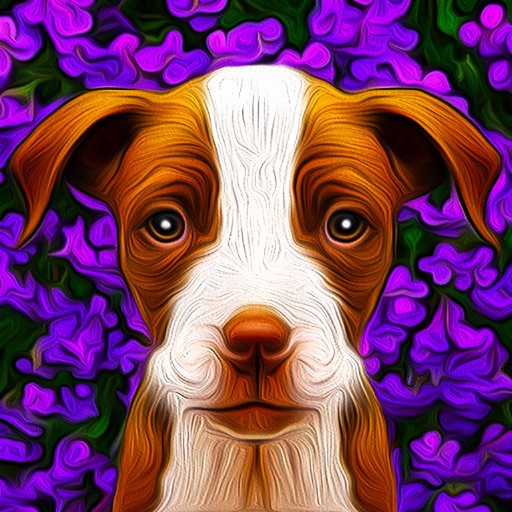 Dogistry iOS App