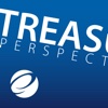 Treasury Perspectives