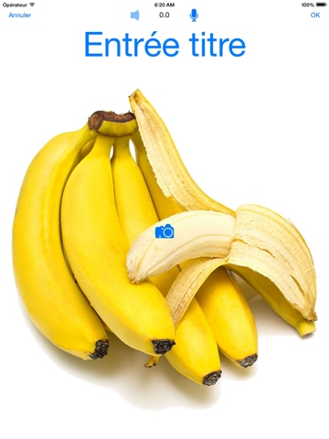 Screenshot #4 pour Aha Kids Learn --- A Flashcards build and show tool