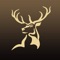 Visit the home of Glenfiddich, the World’s Most Awarded Single Malt Scotch Whisky, as Popular Science takes you through a virtual tour of the Glenfiddich distillery