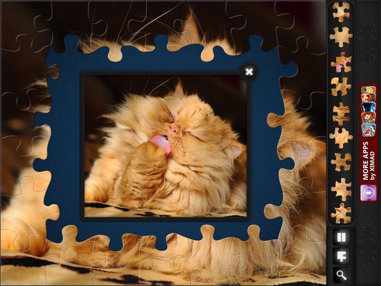 Jigsaw Puzzles: Funny Cats screenshot-4