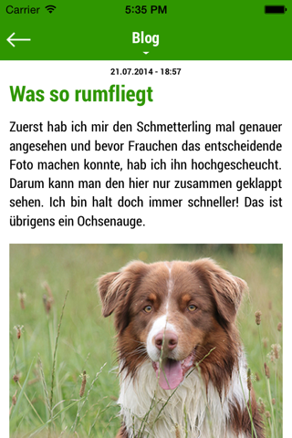 Dogmoe - ein Aussie packt aus screenshot 2