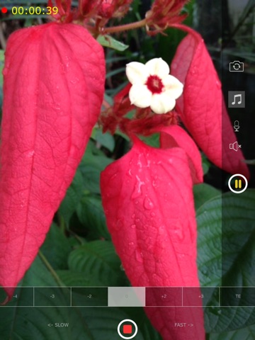 Camcorder++ - All in one camera shoots slow motion and time lapse video with musicのおすすめ画像4
