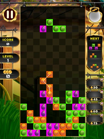 Fruit Chop - Cut The Falling Fruitris Blocks screenshot 2