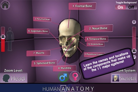 Popar Human Anatomy screenshot 2