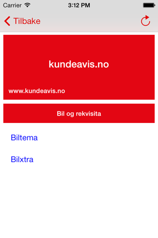 Kundeavis screenshot 3